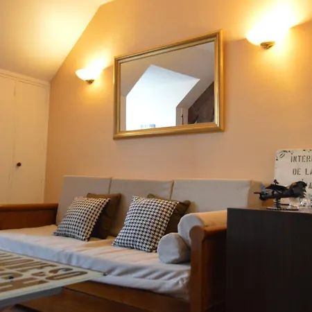 Authentic Bright Flat In Le Marais